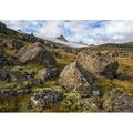 Beautiful rugged landscape along the East Coast of Iceland; Iceland by Robert Postma / Design Pics (18 x 13)