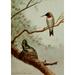 Bird Life 1901 Ruby-throated Hummingbird Poster Print by Ernest T. Seton (18 x 24)