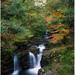 Torc Waterfall Ireland Co Kerry Poster Print by The Irish Image Collection 24 x 24 - Large