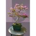 Composite image of Japanese bonsai tree in front of a geometric Asian pattern Poster Print by Panoramic Images (24 x 18)