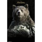 Disney The Jungle Book - Baloo Wall Poster 22.375 x 34