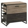 Scranton & Co 2 Drawer Lateral File Cabinet in Rustic Gray