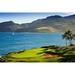 Palm trees in a golf course Kauai Lagoons Kauai Hawaii USA Poster Print (27 x 9)