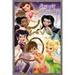 Disney Tinker Bell - Fairies Wall Poster 14.725 x 22.375 Framed