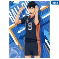 Riapawel Haikyuu!! Poster 12 X16 Cartoon Anime Characters Poster Home Decoration Wall Art Poster Gift for Anime Fans