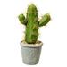 Fake Plant Decorative Beautiful Realistic Potted Plants Fake Desktop Cactus Landscape Decor for Home Clear Melamine Polyst