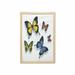 Butterfly Wall Art with Frame Various Colorful Butterflies Pattern and Moths with Grace of Nature Themed Wings Printed Fabric Poster for Bathroom Living Room 23 x 35 Multicolor by Ambesonne