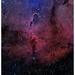 The Elephant Trunk Nebula Poster Print by Phillip Jones/Stocktrek Images (16 x 16)