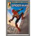 Marvel Spider-Man: No Way Home - Wall Comic 16.5 x 24.25 Framed Poster by Trends International