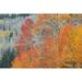 CO San Juan Mts Aspen trees in autumn colors by Don Grall (36 x 24)