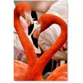 Awkward Styles Flamingo Couple Picture Pink Room Wall Art Love Decals Room Decor Cute Room Decorations Flamingo Room Wall Decor Flamingo Poster Decor Ideas Unframed Art Picture Home Decor Ideas