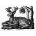 Deer Poster Print By Mary Evans Picture Librarypeter & Dawn Cope Collection (24 X 18)