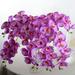 8 Heads White Artificial Phalaenopsis Flower Real Touch Butterfly Orchid Flower Latex Orchids for Home Decoration Wedding Centerpieces Decorative Artificial Flowers (with no vase)