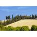 Italy Tuscany - farmhouse with cypress tress. Poster Print (27 x 9)