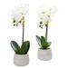 Nearly Natural Phalaenopsis Orchid Artificial Arrangement - Set of 2