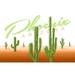 Phoenix Arizona Cactus Vector (36x54 Giclee Gallery Art Print Vivid Textured Wall Decor)