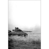 24 x36 Gallery Poster M4 Sherman Firefly tank in Field 1944
