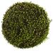 Nearly Natural 15in. Dia. Mohlenbechia Ball Artificial Plant Green