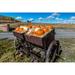 Display of Halloween Pumpkins Hastings Mesa Colorado - near Ridgway Poster Print by Panoramic Images (36 x 24)