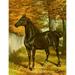 The Brookfield Stud 1891 Candidate Poster Print by Samuel J. Carter (24 x 36)