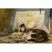 Asleep at the easel Poster Print by Henriette Ronner-Knip (24 x 36)