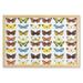 Butterfly Wall Art with Frame Assortment of Detailed Butterflies in Various Shapes Vibrant Colored Creatures Printed Fabric Poster for Bathroom Living Room 35 x 23 Multicolor by Ambesonne