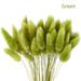 50PCs/lot Dried Rabbit Tail Grass Flower Bunch 18 Elegant Natural Flower for Wedding Decor Holiday & Housewarming Gift