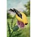 Birds in Literature 1911 Goldfinch Poster Print by C. Reed (24 x 36)