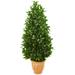 Nearly Natural 9366 4.5 in. Bay Leaf Cone Topiary Artificial Tree in Terra Cotta Planter