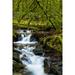 Creek flowing over rocks through a lush forest with moss-covered rocks and trees; Maple Ridge British Columbia Canada Poster Print by The Nature Collection (24 x 38) # 12575059