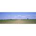 Panoramic Images PPI49732L Soybean field in a landscape Marion County Illinois USA Poster Print by Panoramic Images - 36 x 12