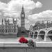 Bunch of Roses and hat on Thames promenade agaisnt Big Ben London UK Poster Print by Assaf Frank (24 x 24)