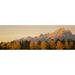 Aspen trees on a mountainside Grand Teton Teton Range Grand Teton National Park Wyoming USA Poster Print (18 x 6)