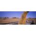 Panoramic Images PPI98644L Combine harvesting soybeans in a field Minnesota USA Poster Print by Panoramic Images - 36 x 12