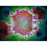 Conceptual image of HIV virus. HIV is the human immunodeficiency virus that can lead to acquired immune deficiency syndrome or AIDS Poster Print (32 x 24)