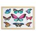 Butterfly Wall Art with Frame Vibrant Butterflies Flying in the Spring Season Nature Colorful Wings Composition Printed Fabric Poster for Bathroom Living Room 35 x 23 Multicolor by Ambesonne