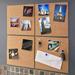 Premium Cork Cork Boards for Walls Ultra Strong Self Adhesive Backing - Bulletin Board - Mini Wall