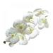 28 Inch Artificial Phalaenopsis Flowers Branches Real Touch (Not Silk) Orchids Flowers for Home Office Wedding Decoration