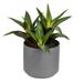 Vickerman Everyday 10 Green Aloe Plant - Faux Indoor Potted Plant - Greenery For Home Or Office Decor - Maintenance Free