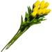 Tulips Artificial Flowers Real Touch Fake Tulips Fake Flowers for Decoration Faux Tulips Faux Flowers Bulk Artificial Tulips Flowers for Vase Centerpieces Home Wedding Bouquet