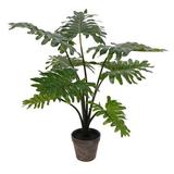 25 in. Potted Grand Philo Bush 8-Leaves