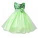 Little Girls Cinderella Lace Princess Dress Flower Girls Sequin Mesh Tulle Rainbow Party Dress Princess Lace Ball Gown