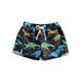 Sunisery Toddler Baby Boys Cartoon Printed Short Pants Vacation Style Elastic Shorts Dinosaurs Print 4-5 Years