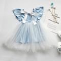 Gyratedream Toddler Kid Little Girls Backless Princess Dress Casual Lace Mini Dress