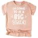 Olive Loves Apple Big Sister New Baby Reveal I m Going to be a Big Sister New Sibling Announcement T-Shirts White on Peach Shirt 2T