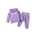 Newborn Baby Girl Fall Winter Outfit Long Sleeve Mini Pullover Hoodie Sweat Trousers Cute Cotton Clothes Set