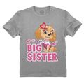 Paw Patrol Skye Big Sister T-Shirt - Girls Promoted Sister Outfit - Toddler Kids Big Sister Announcement Top - Nickelodeon Paw Patrol - Gift for Big Sisters - Kids Paw Patrol Tee - 3T Gray