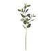 Fake Eucalyptus Leaves Stems Bulk Artificial Silver Dollar Eucalyptus Leaves Plant in Grey Green Tall Wedding Greenery Artificial Greenery Holiday Greens Floral Arrangement