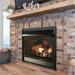 Empire VFPA36BP71LN 36 in. Natural Gas Intermittent Pilot Fireplace with Blower