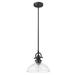 HomeRoots 398181 9.5 x 9.75 x 9.75 in. Virginia 1-Light Matte Black Pendant with Clear Glass Shade